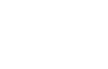 Vivus Logo